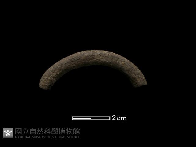 陶環藏品圖，第2張