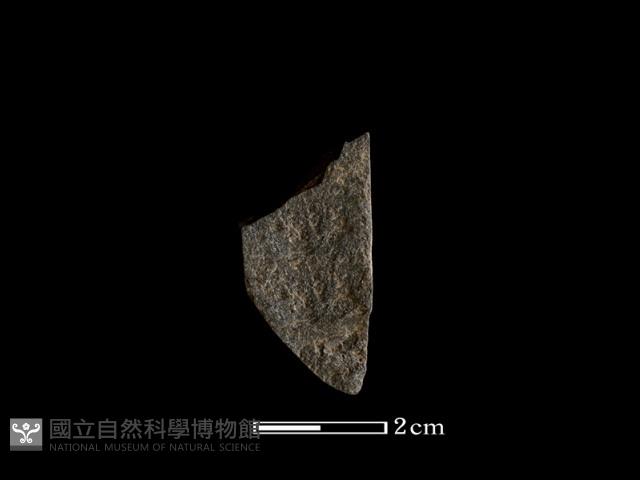 錛鑿形器藏品圖，第2張