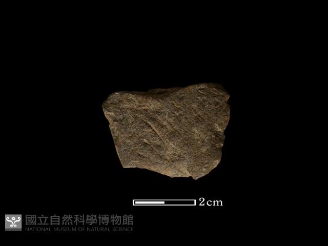 磨製石器藏品圖，第1張