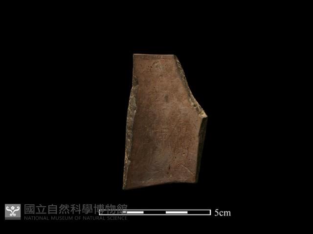 陶環藏品圖，第1張