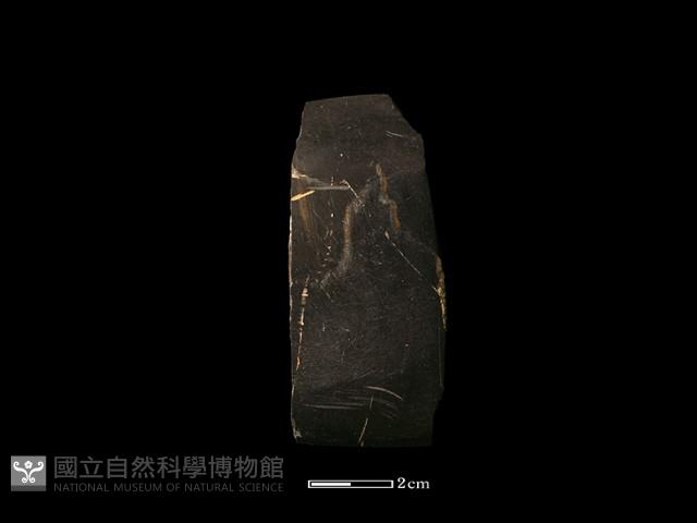 錛鑿形器藏品圖，第3張