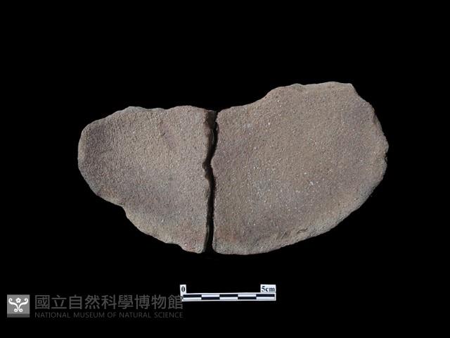 陶片藏品圖，第2張