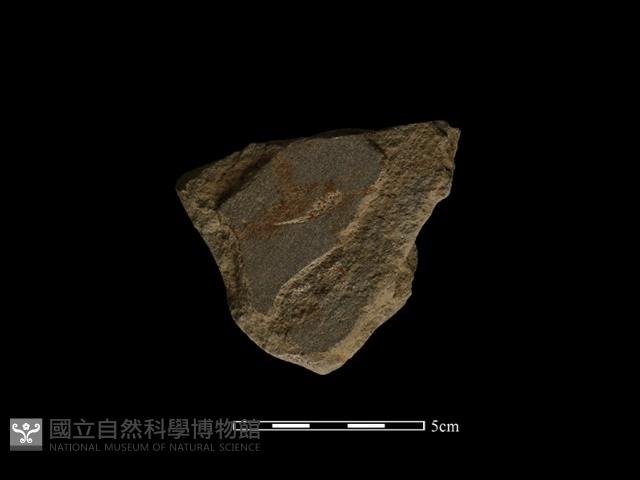 磨製石器藏品圖，第1張