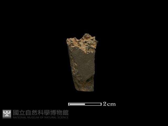 磨製石器藏品圖，第1張