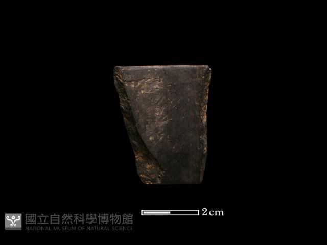 陶環藏品圖，第1張
