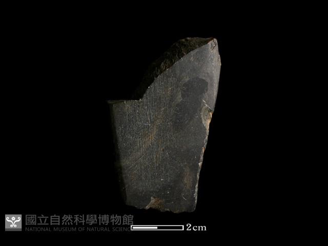 錛鑿形器藏品圖，第3張