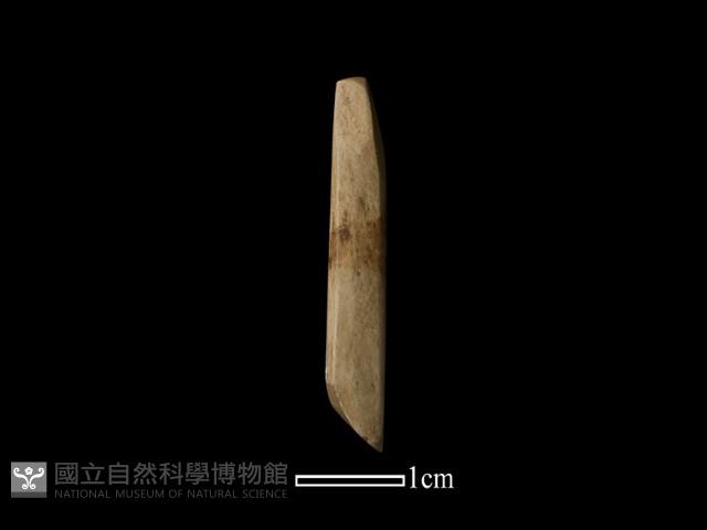 錛鑿形器藏品圖，第3張