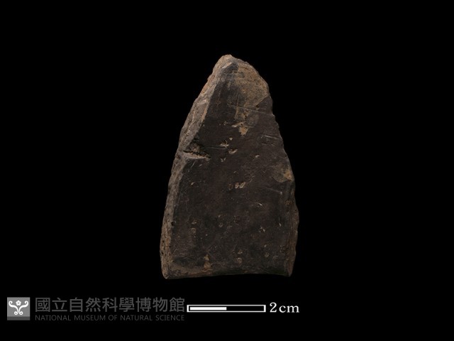 陶環藏品圖，第1張