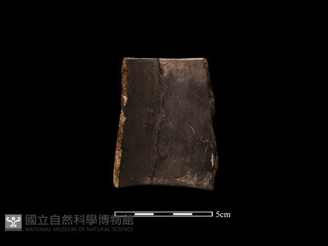 陶環藏品圖，第2張