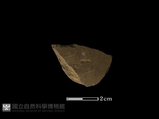 磨製石器藏品圖，第1張
