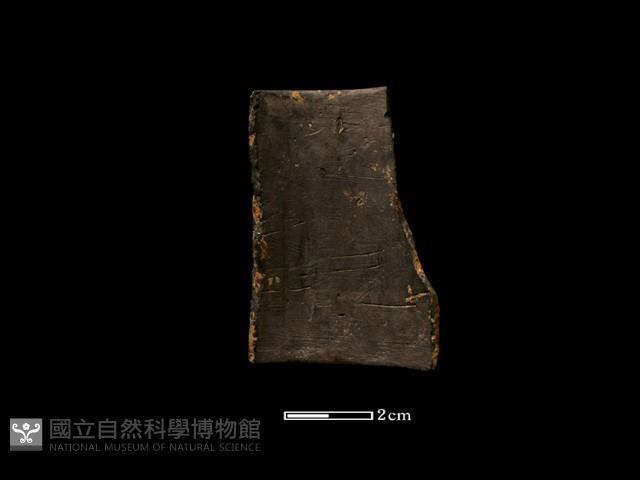 陶環藏品圖，第2張