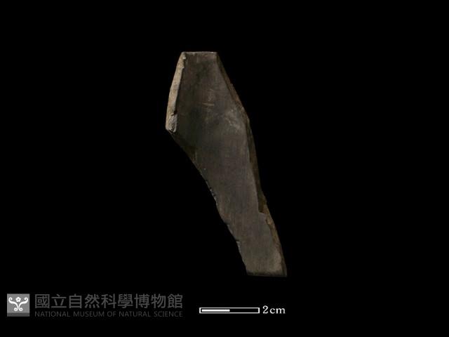 陶環藏品圖，第2張