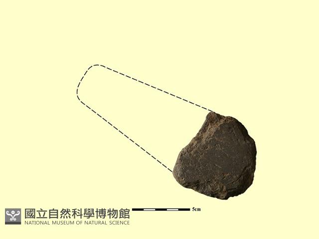 磨製石器藏品圖，第3張