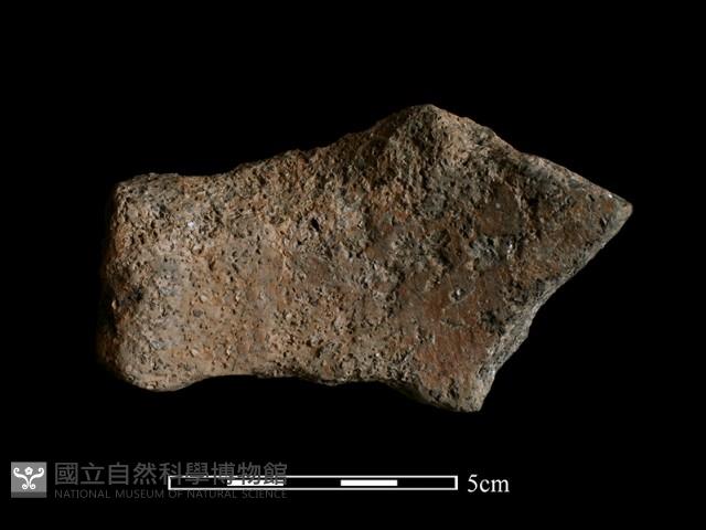 陶片藏品圖，第2張