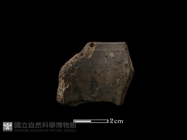 陶環藏品圖，第1張