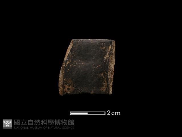 陶環藏品圖，第2張