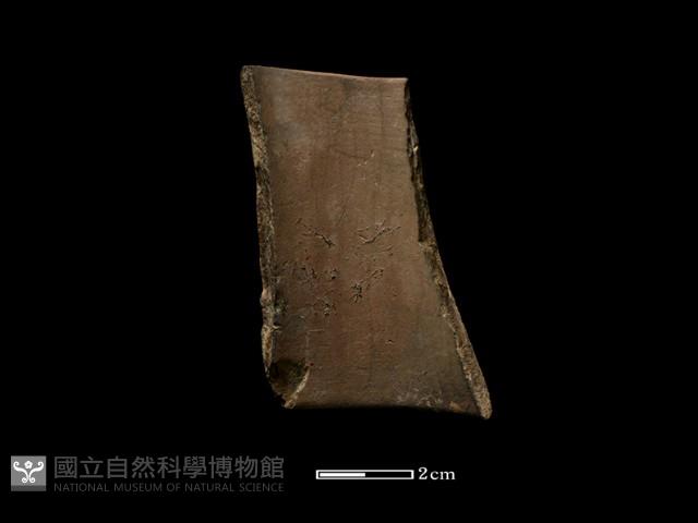 陶環藏品圖，第2張