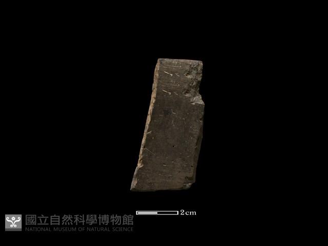 陶環藏品圖，第2張