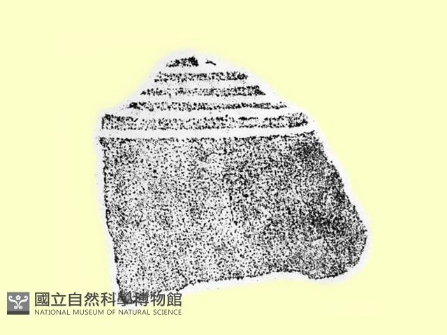 陶片藏品圖，第2張