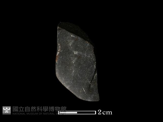 錛鑿形器藏品圖，第1張