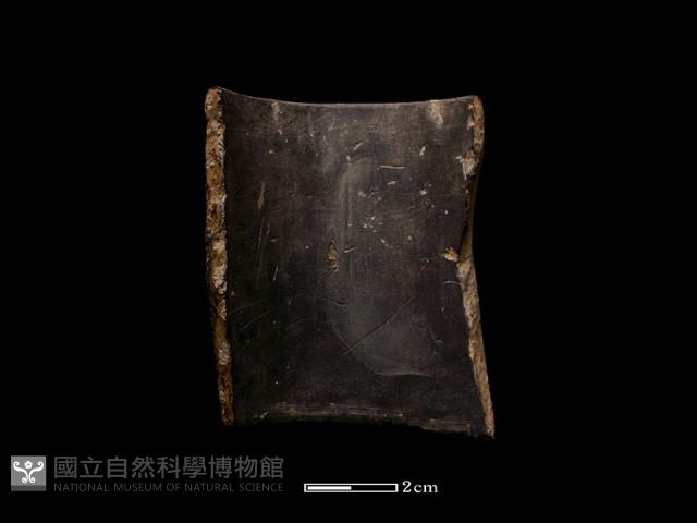 陶環藏品圖，第1張