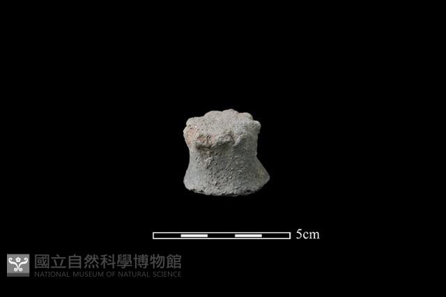 陶蓋鈕藏品圖，第2張