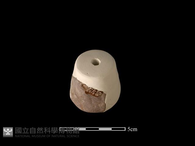 紡輪藏品圖，第2張