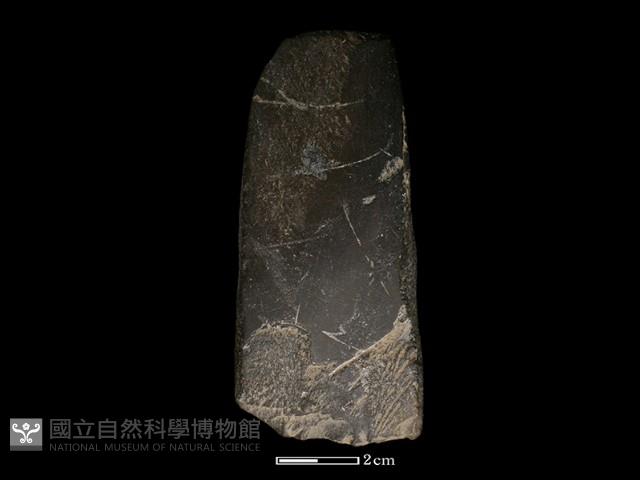 錛鑿形器藏品圖，第1張