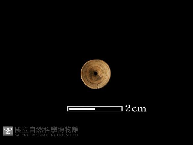 魚骨珠藏品圖，第1張