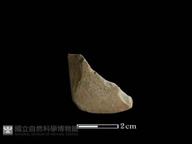 錛鑿形器藏品圖，第1張