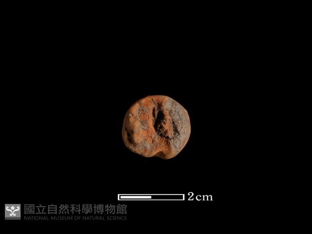陶把藏品圖，第1張