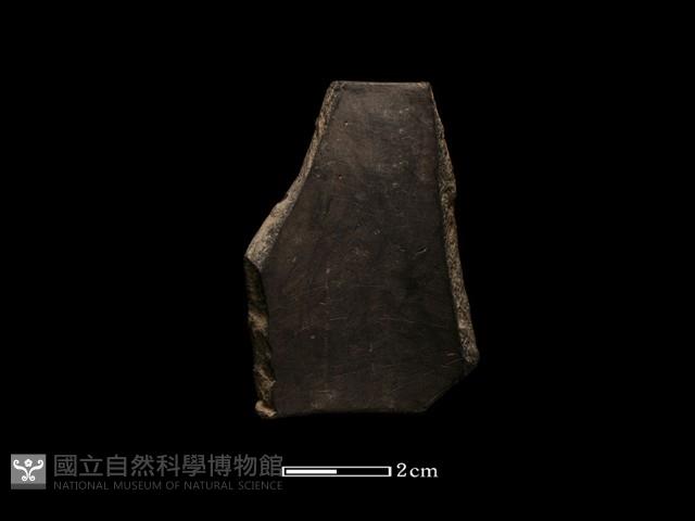 陶環藏品圖，第1張