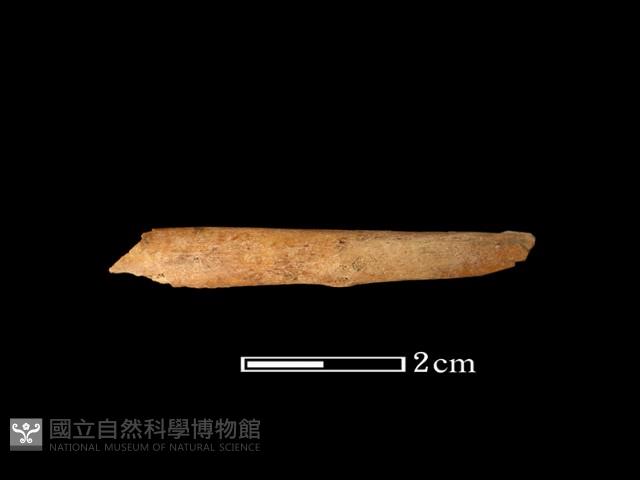 鹿骨藏品圖，第2張