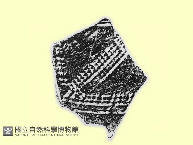 陶片藏品圖，第1張