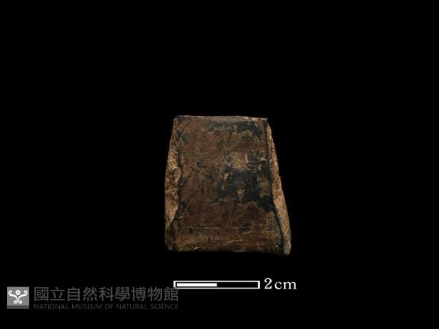 陶環藏品圖，第2張