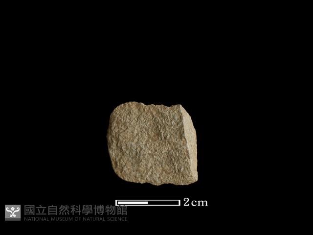 錛鑿形器藏品圖，第2張
