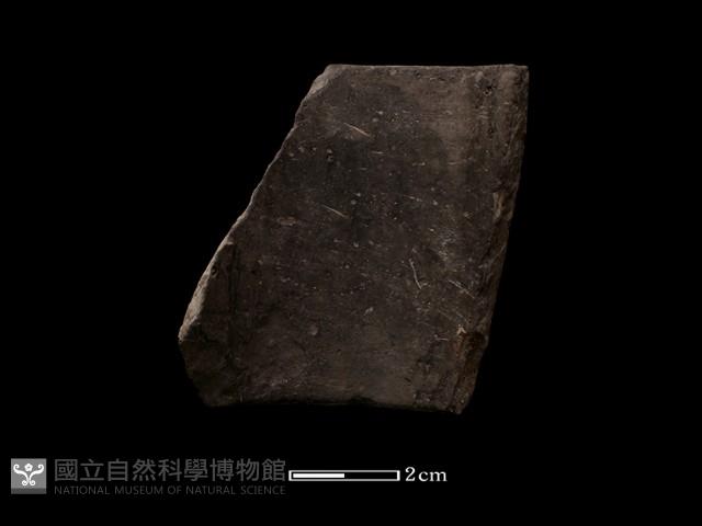 陶環藏品圖，第1張