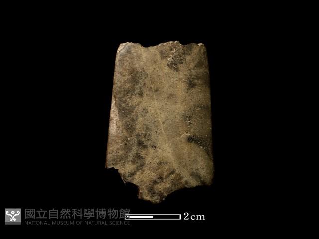 磨製石器藏品圖，第1張