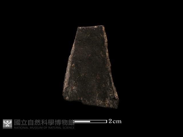 陶環藏品圖，第2張