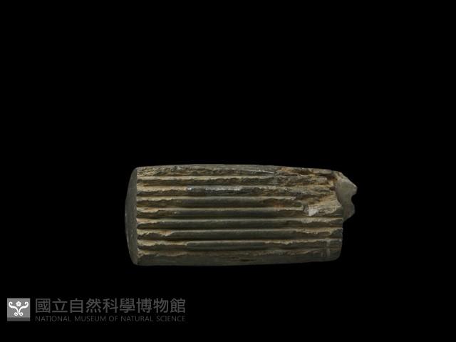 有槽石棒藏品圖，第3張