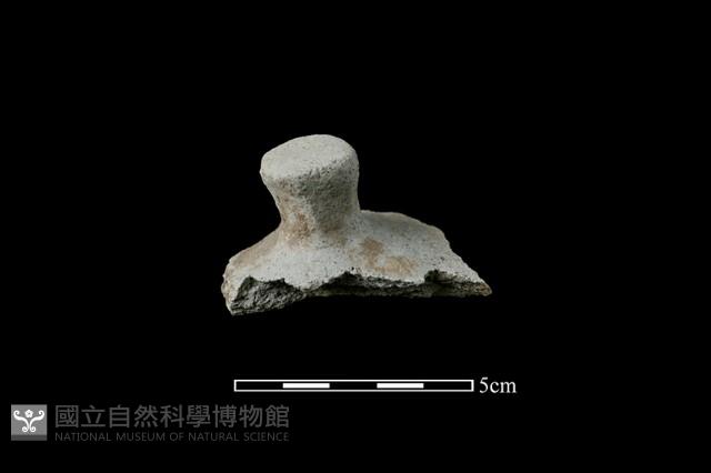 陶蓋鈕藏品圖，第1張