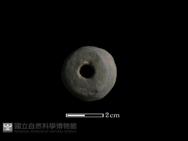 紡輪藏品圖，第2張