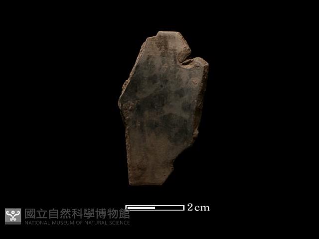 陶環藏品圖，第1張