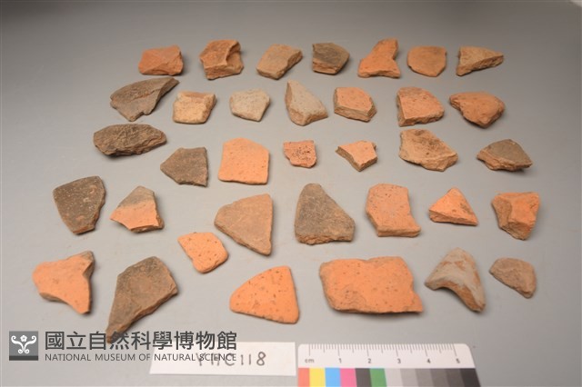 陶片藏品圖，第1張