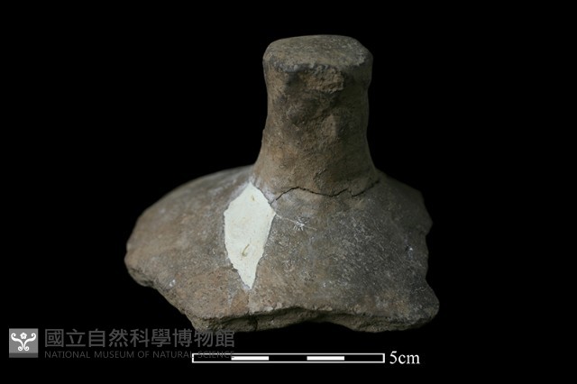 陶蓋鈕藏品圖，第1張