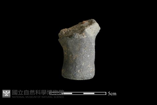 陶蓋鈕藏品圖，第1張