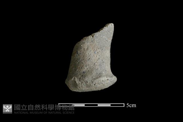 陶蓋鈕藏品圖，第2張