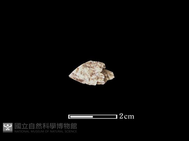 玉材藏品圖，第1張