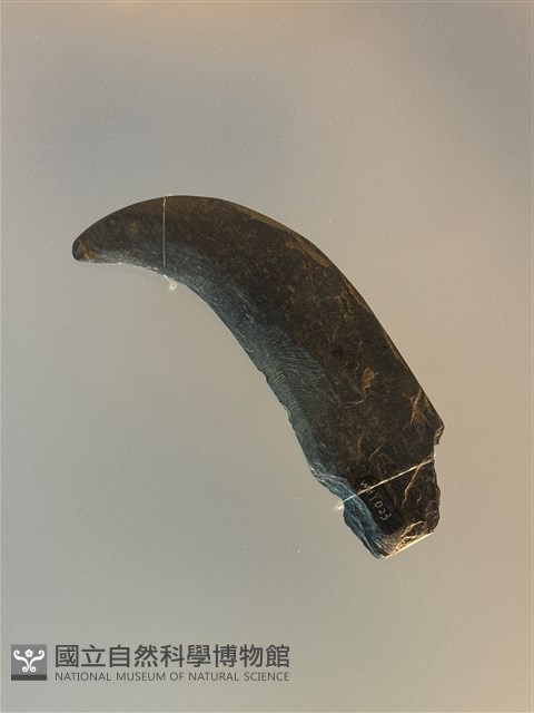 石鐮藏品圖，第1張