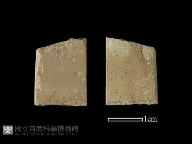 帶加工痕石材藏品圖，第1張